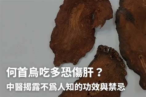 何首烏 一斤 多少錢|何首烏秋冬進補怎麼吃？醫列功效禁忌＋何首烏藥膳做。